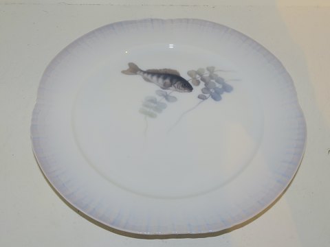 Royal Copenhagen
Fish plate 
Art Nouveau from 1898-1923