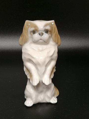 Kongelig porcelæn figur pekingeser nr. 1776