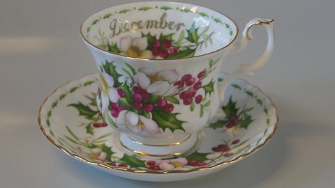 Royal Albert Mneds stel