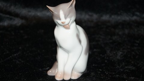 Bing & Grøndahl Figur, Hvid kat med pletter Kat, der slikker sig.
Dek nr 2466
Højde 12 cm