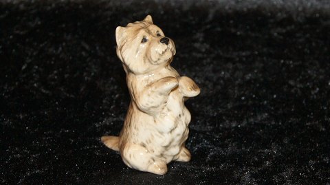 item no: 487777