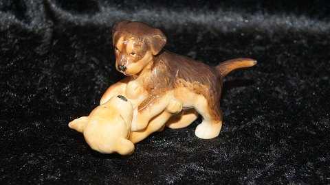 item no: 487796