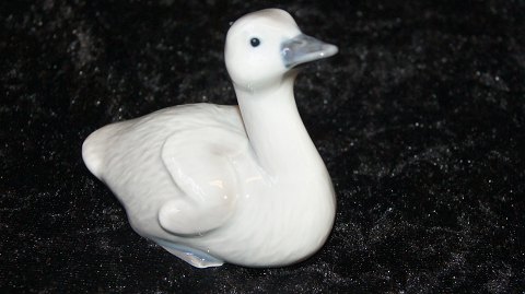 item no: 487798
