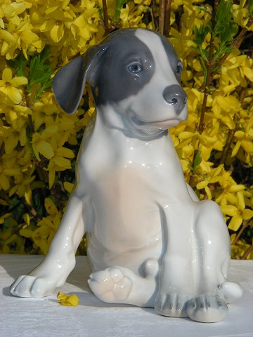 Royal Copenhagen Figur 259 Pointer-Welpe