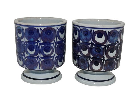 Aluminia Tenera
Krus