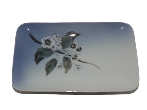 Royal Copenhagen 
Square dish - Apple branch