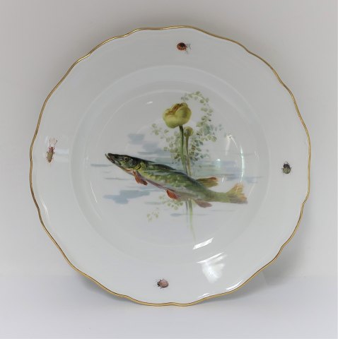 Meissen. Porcelain. Fish plate. Diameter 25 cm