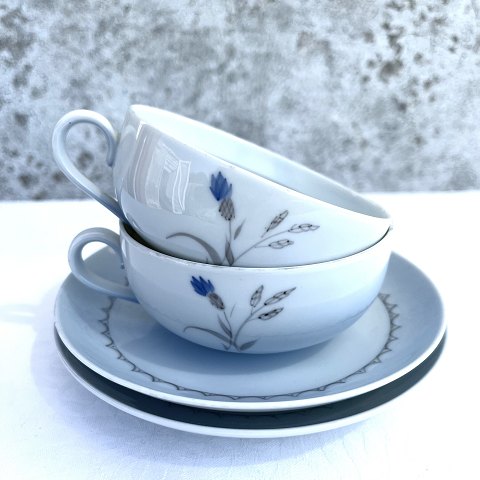 Bing & Gröndahl
Kornblume
Teetasse
# 108
* 100 DKK