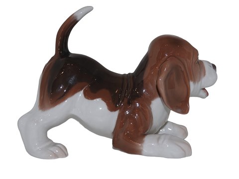 Royal Copenhagen
Beagle