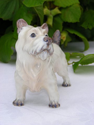 Dahl Jensen figurine 1149 Cairn terrier