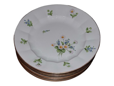 Bellis & Coltsfoot Angular
Dinner plate plate 25.0 cm.