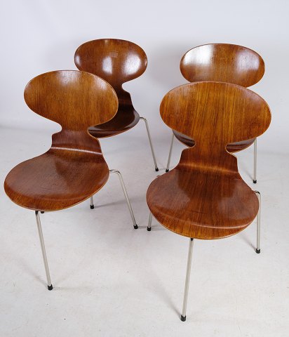 Sæt af fire myre stole, model 3100, Arne Jacobsen (1902-1971), teaktræ, trebenet 
l. Model 3100, Fritz Hansen. Tidlig udgave
Flot stand
