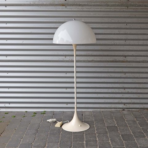 item no: 537541