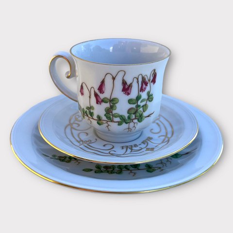 Firkløveren
Carl von Linné
Anniversary coffee set
*100 DKK