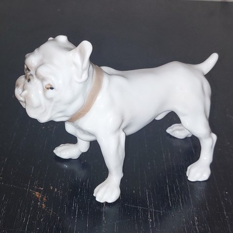 B&G bulldog i porcelæn