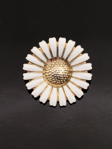 item no: 571797