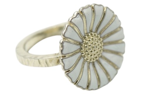 Marguerit<br>Daisy