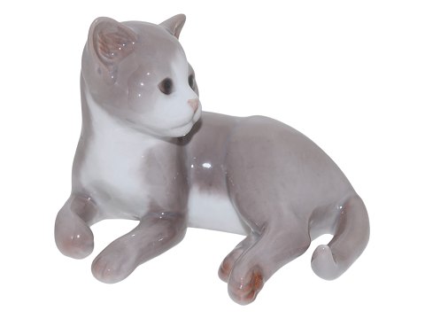 item no: 601939