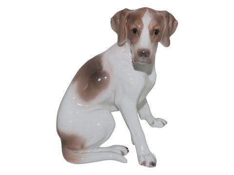 Hunde<br>Royal ...
