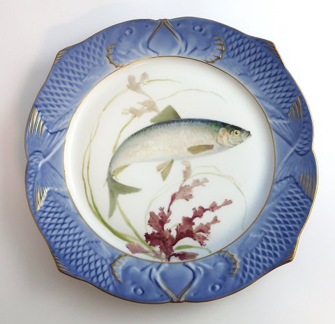 Royal Copenhagen. Fiskestel No.19. Model 3002. Diameter 22,5 cm. Clupea 
harengus. Produceret før 1923. (1 sortering)