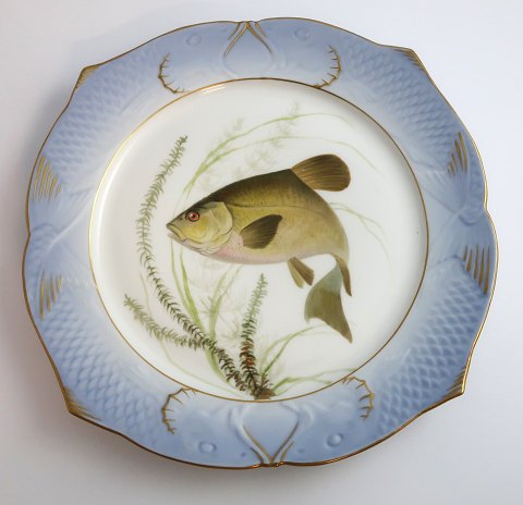 Royal Copenhagen. Fiskestel No.19. Model 3002. Diameter 22,5 cm. Cyprinus tinca. 
Produceret før 1923. (1 sortering)