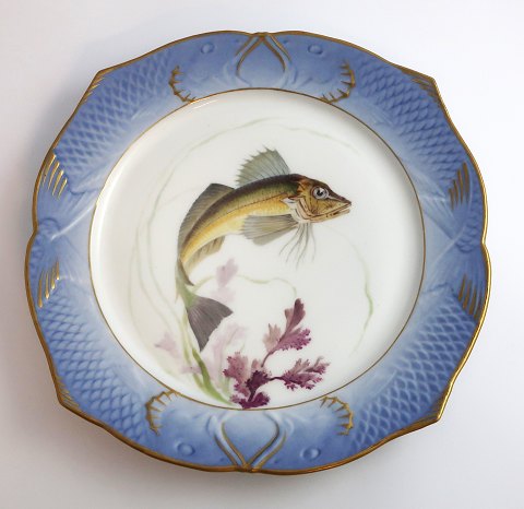 Royal Copenhagen. Fiskestel No.19. Model 3002. Diameter 22,5 cm. Trigla 
gurnardus. Produceret før 1923. (1 sortering)