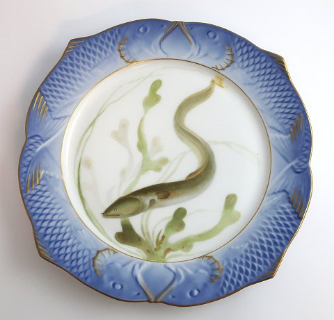 Royal Copenhagen. Fiskestel No.19. Model 3002. Diameter 22,5 cm. Anguilla 
acutirostris. Produceret før 1923. (1 sortering)