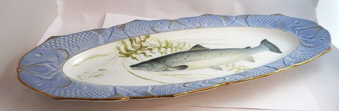 Royal Copenhagen. Fiskestel No.19. Model 3001. Ovalt fiskefad. Salmo salar. 
Længde 61 cm. Bredde 25 cm. Produceret før 1923. (1 sortering)