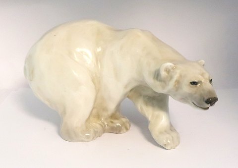 Royal Copenhagen. Porcelænsfigur. Stående Isbjørn. Model 1137. Længde 27 cm. (2 
sortering)
