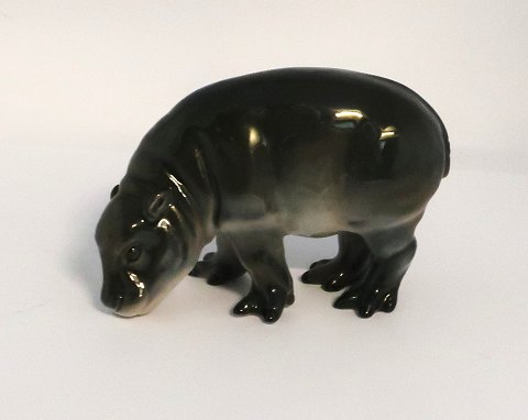 Lyngby porcelæn. Flodheste unge. Model 84. Længde 11 cm. (1 sortering)