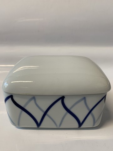 Danild 40 / Harlekin