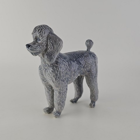 RC figurPuddel4757