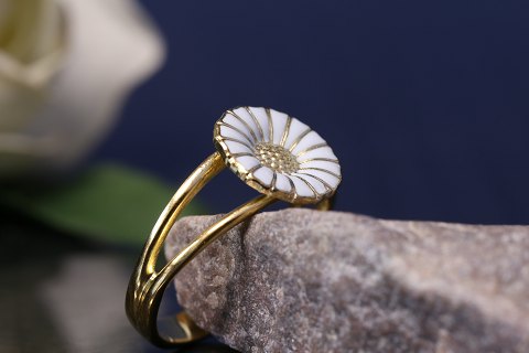 Finger rings