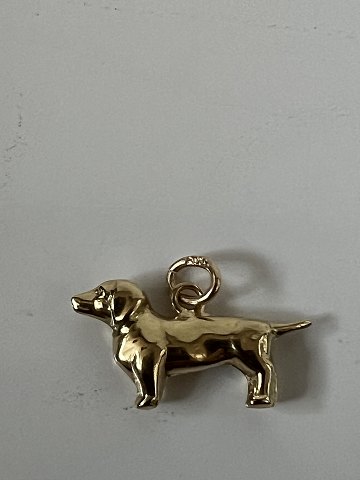main