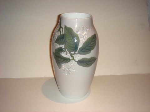 item no: 79386