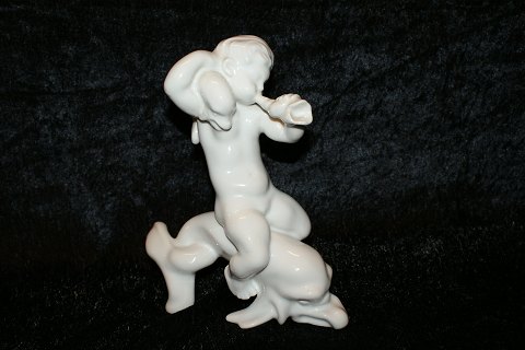item no: 79743