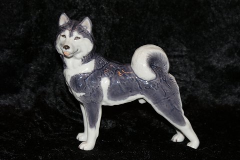 item no: 82670