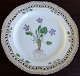 Royal Copenhagen Flora Danica Frokosttallerken No 3554