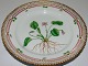 Royal Copenhagen Flora Danica Salat Tallerken No 20/3573