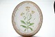 Royal Copenhagen Flora Danica, Oval dish
Dek.nr. 20 / # 3517
SOLD