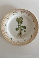 Royal Copenhagen Gammel Flora Danica Frokosttallerken No 3550