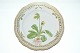Royal Copenhagen Flora Danica, Dinner plate with openwork edge
Decoration number 20 / # 3553
SOLD