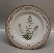 Flora Danica Danish Porcelain 20-3549 Traditional Dinner Plate: Gardamina 
petraea L . New # 624 10" (From the year 1959)
