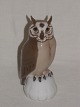Owl
B & G