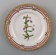 Royal Copenhagen Flora Danica plate.