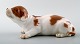 Royal Copenhagen Kgl. P Hundefigur nummer 1204 Bassethvalp.
