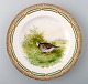 Royal Copenhagen Flora Danica / fauna Danica dinner plate with  motive of a bird 
in landscape.