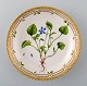 Flora Danica skål af porcelæn, dekoreret i farver og guld med blomst. Royal 
Copenhagen 20/3503.