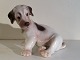 Bing & Grondahl
Rough-haired fox terrier puppy
# 2027
*375DKK