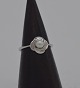 vare nr:
307956